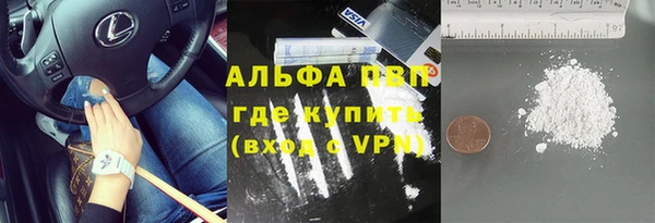 прущие грибы Балабаново