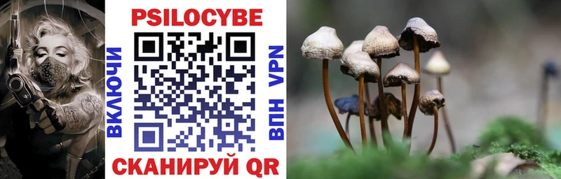 Галлюциногенные грибы Psilocybe  Протвино 