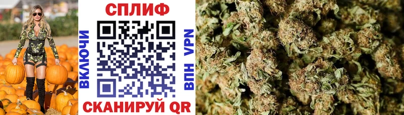 Каннабис SATIVA & INDICA  что такое   Протвино 